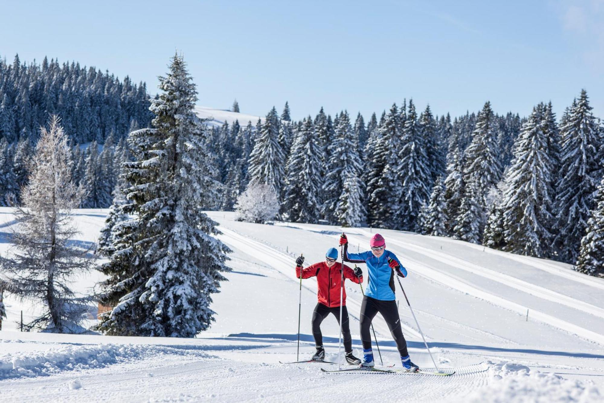 Ferienwohnung Seeblick Nr 5, 2 Zi-Baerental, Feldberg Rotwasser 外观 照片