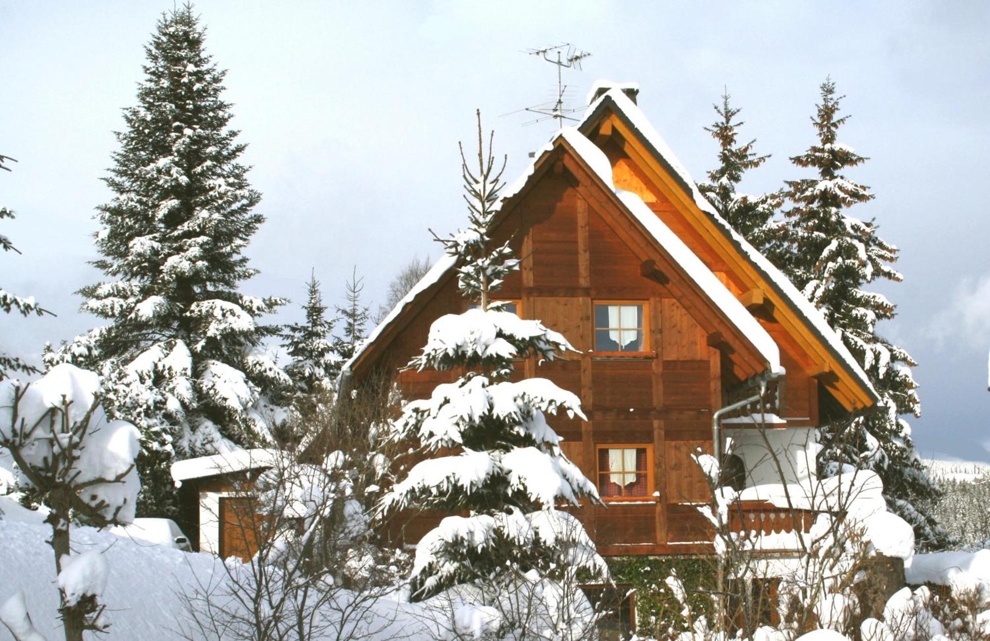 Ferienwohnung Seeblick Nr 5, 2 Zi-Baerental, Feldberg Rotwasser 外观 照片