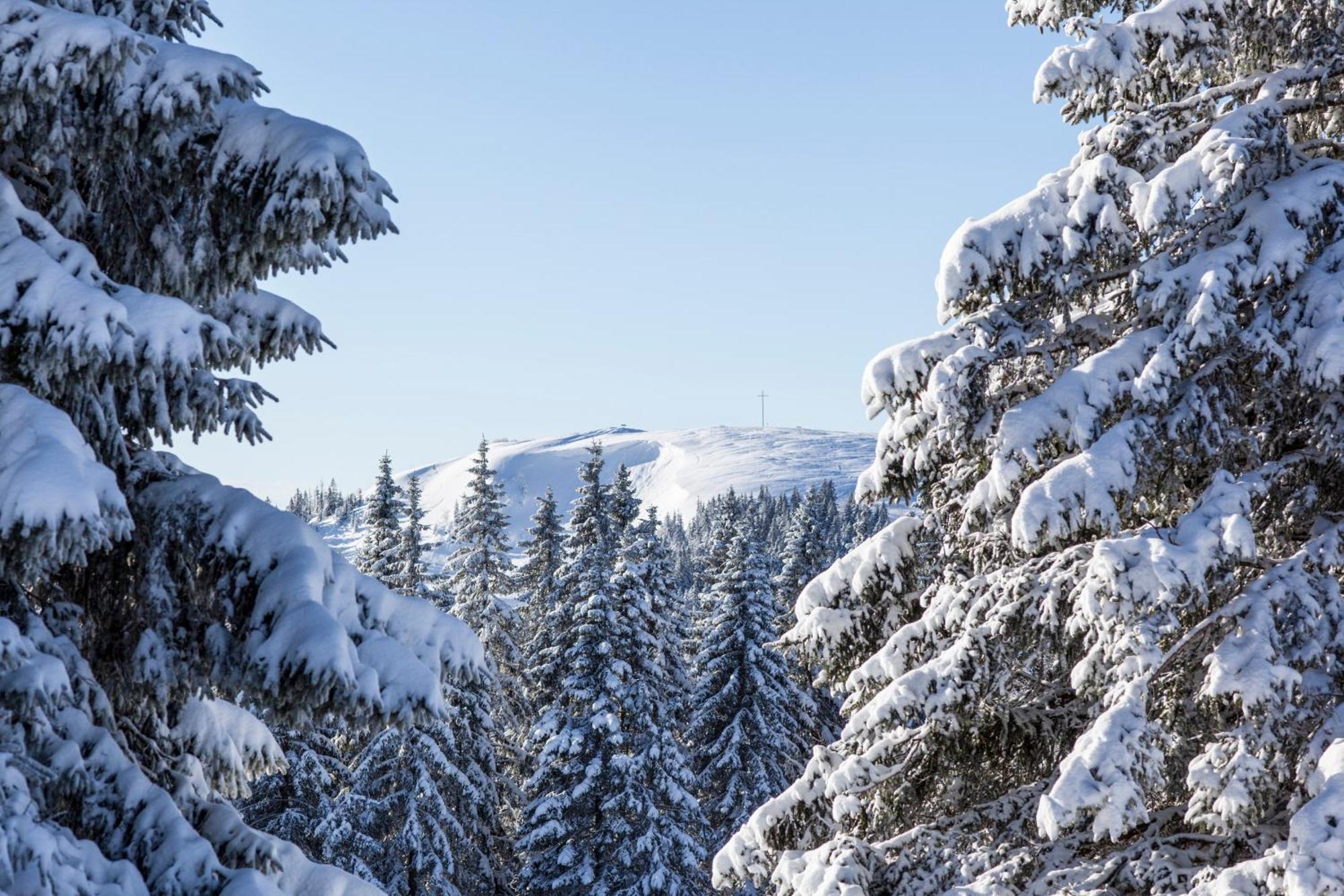 Ferienwohnung Seeblick Nr 5, 2 Zi-Baerental, Feldberg Rotwasser 外观 照片