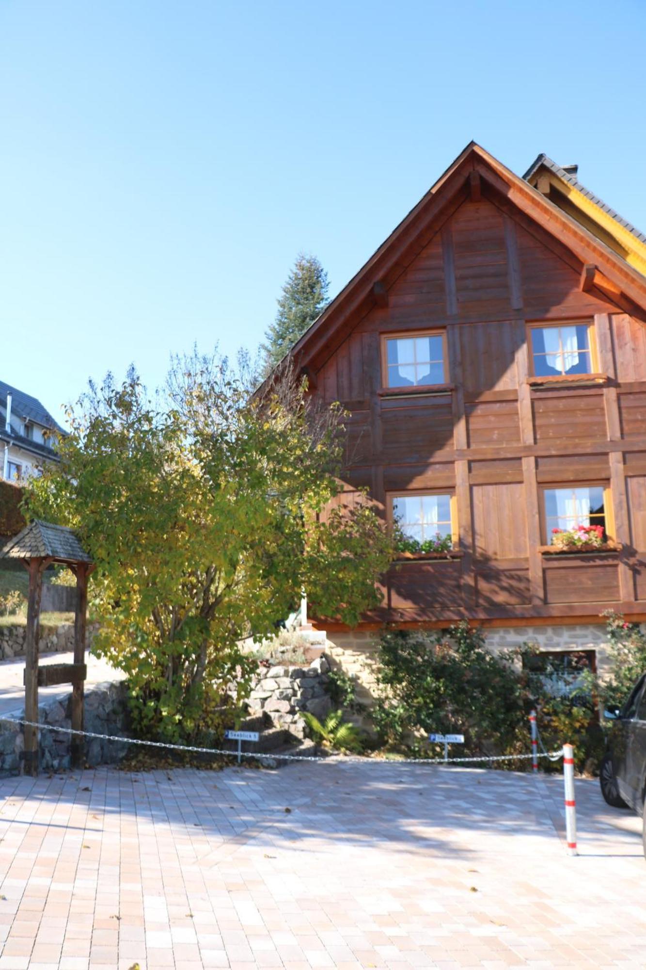 Ferienwohnung Seeblick Nr 5, 2 Zi-Baerental, Feldberg Rotwasser 外观 照片