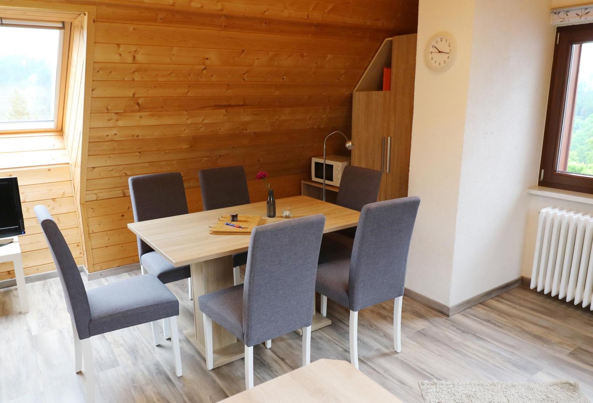 Ferienwohnung Seeblick Nr 5, 2 Zi-Baerental, Feldberg Rotwasser 外观 照片