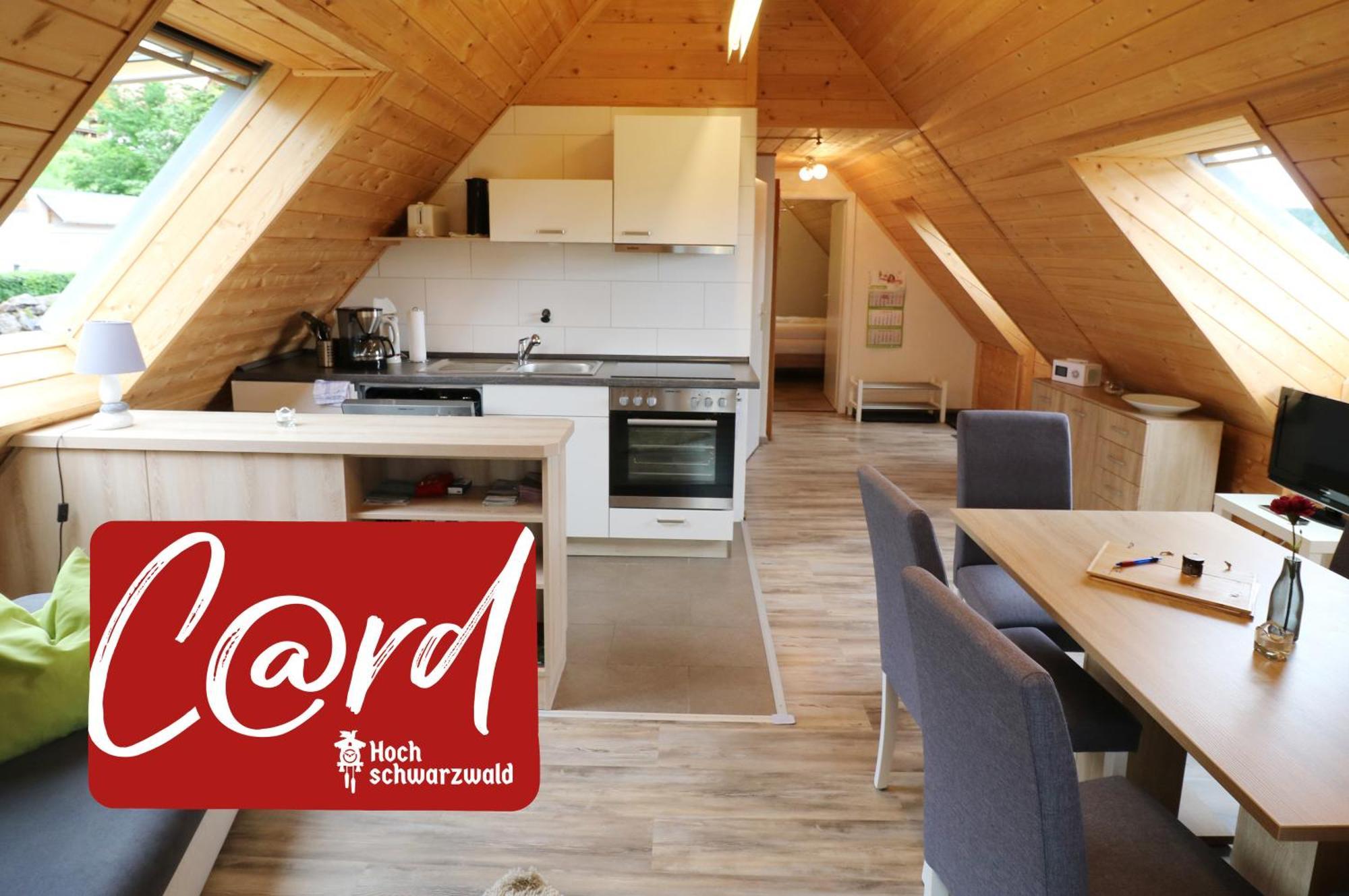 Ferienwohnung Seeblick Nr 5, 2 Zi-Baerental, Feldberg Rotwasser 外观 照片